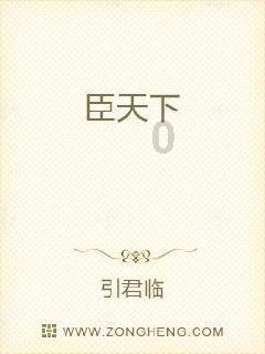 见缝插刀2