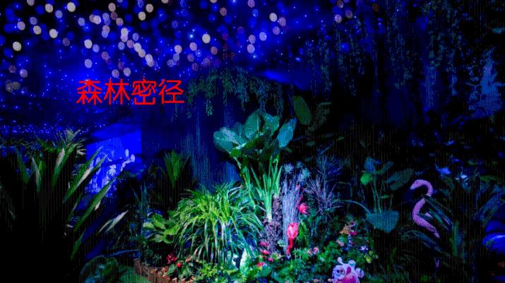 逗小猴开心系列188